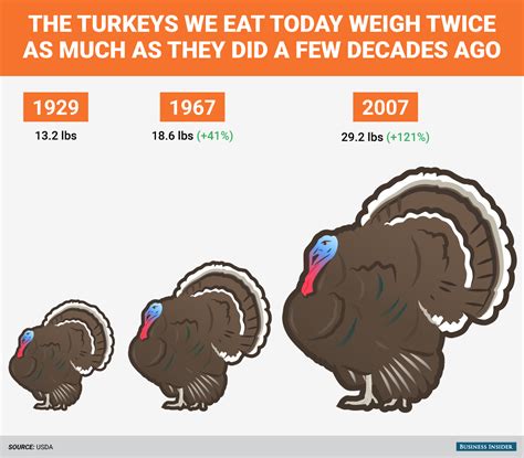 How Much Does a Turkey Weigh? A Complete Guide to Turkey Sizes ...