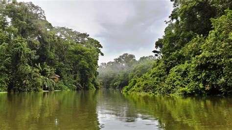 Tortuguero National Park | Costa Rica Nature Vacation in Tortuguero ...