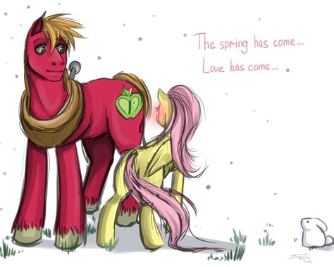 Fluttershy x Big Mac by CrazySonyaTheChaos on DeviantArt