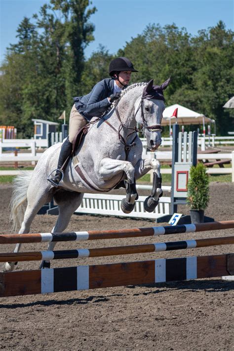 Gray Horse Jumping Stock by JNH-Equine on DeviantArt