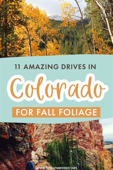 11 Colorful Fall Drives in Colorado You Can't Miss Local Travel