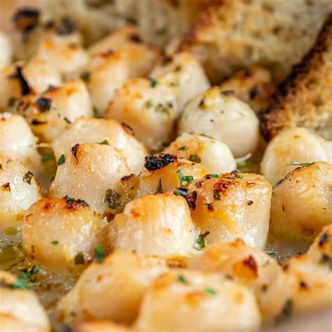 Broiled Bay Scallops - Top Recipes