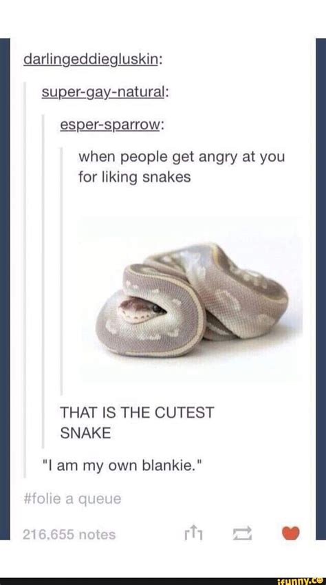 Cute Snake Memes