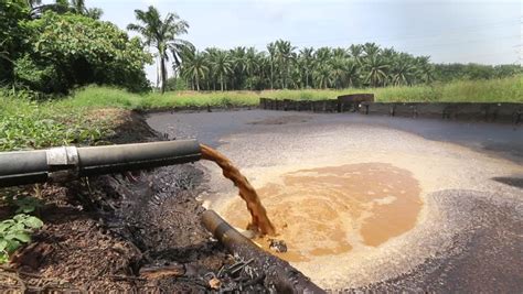 Palm Oil Mill Effluent Treatment Process - Palm Oil Mills - VIRIDIS Engineering Sdn Bhd / This ...