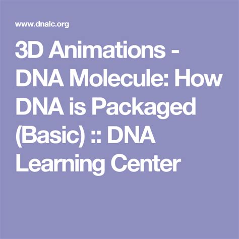 3D Animations - DNA Molecule: How DNA is Packaged (Basic) :: DNA ...