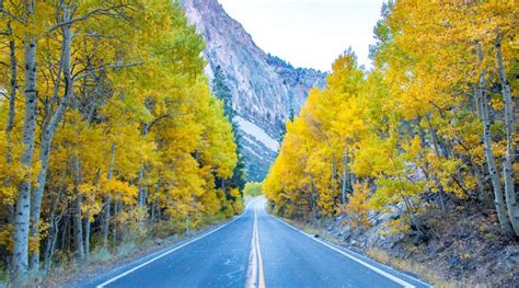 Fall Colors in Mono County - Mono County Tourism and Film Commission