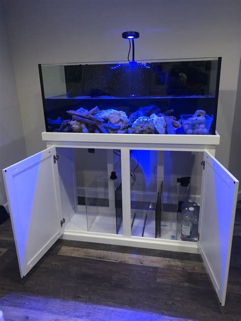 Michigan - 75 Gallon rimless reef ready seapora tank and custom stand ...