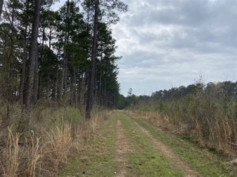 Best Hikes and Trails in Caddo Lake National Wildlife Refuge | AllTrails