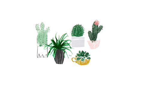 Discover 800+ Desktop backgrounds plants for Your Love of Green on Screens