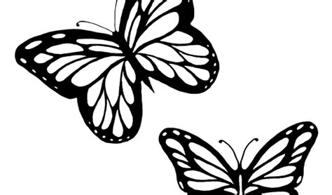 Monarch butterfly Outline Drawing, Butterflies Black And White Outline, brush Footed Butterfly ...