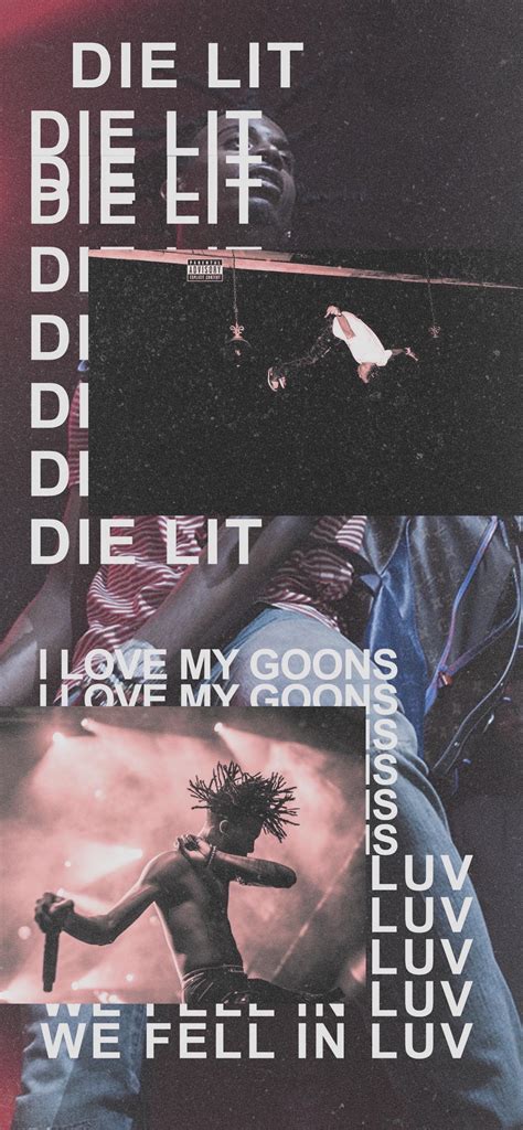 Die lit album cover : r/playboicarti