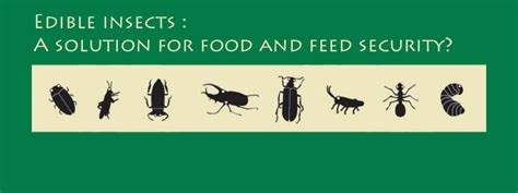 Insects for food and feed