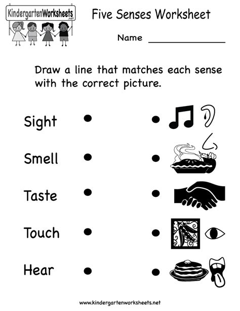 The Five Senses Worksheets