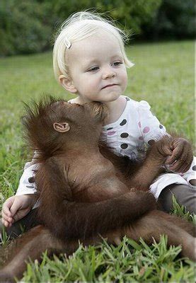 Monkey Kissing A Baby Girl - Funny Pictures | Blockstatus.com