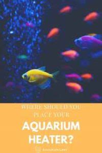 Where to Place Aquarium Heaters [Heater Placement & More]