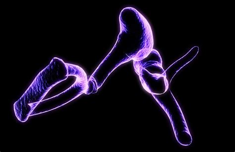 Incus: Anatomy, Function, and Treatment