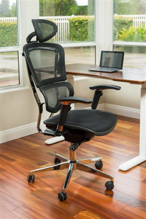 Ultimate Lumbar Support Mesh Chair - ErgoMax Office-