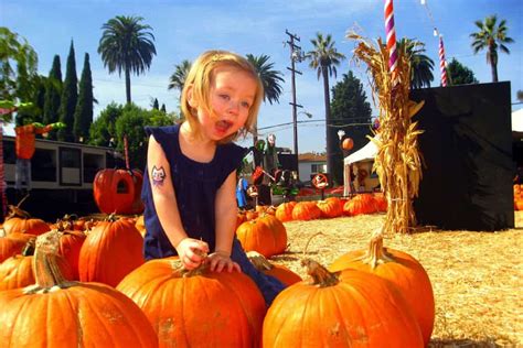 Live Oak Pumpkin Patch: Travel Guide to Fall Fun [2024] CA GIRL TRAVELS