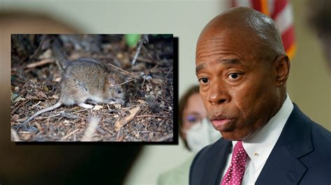 Rat City: New York City Mayor Eric Adams fined for rat infestation at his property in Bedford ...