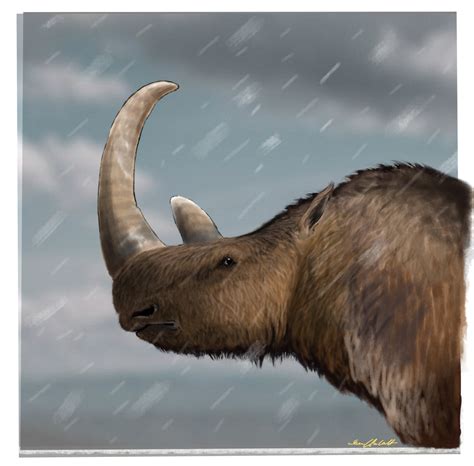 Woolly Rhinoceros Vers.2 by SoerenUIllustrations on DeviantArt