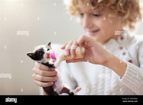 Child feeding baby cat. Little boy giving milk bottle to newborn kitten ...