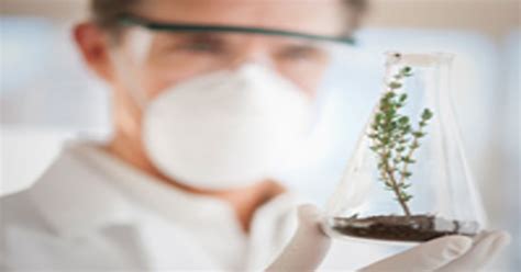 Agricultural Biotechnology Playing Bigger Role In Food Output