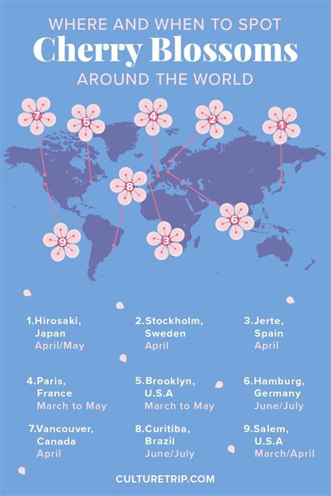 This Awesome Map Shows You When and Where Cherry Blossoms Are Blooming ...