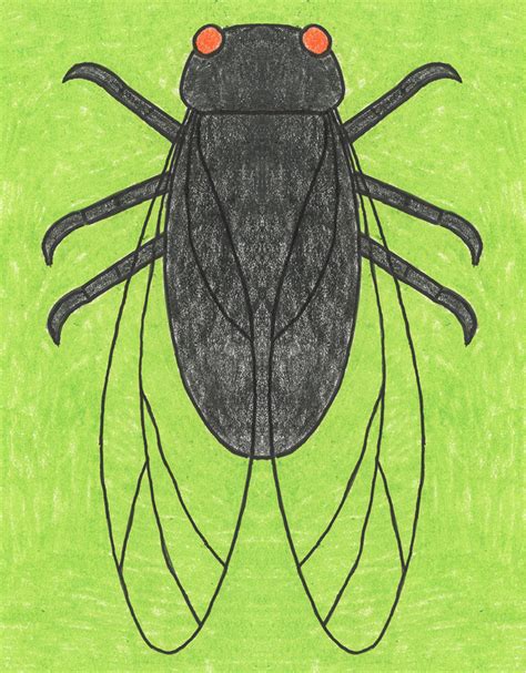 Easy How to Draw a Cicada Tutorial and Cicada Coloring Page