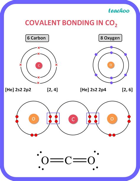 Covalent Bond Of Carbon Dioxide