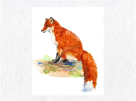 Fox Watercolor Painting Print From Original Painting - Etsy