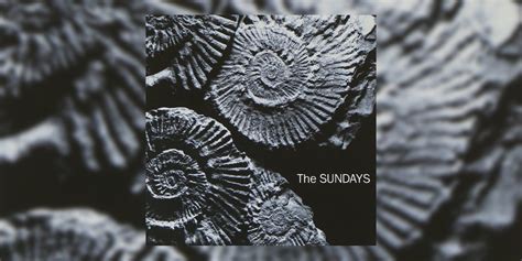 Celebrating 34 Years of The Sundays' Debut Album ‘Reading, Writing and Arithmetic’ (1990)