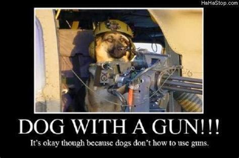 Rules of the Jungle: Funny dogs with guns