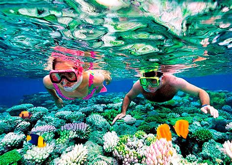 #1 Cozumel Snorkeling Tour in 2024: Book TODAY from $59