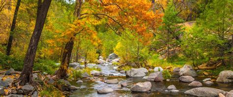 Oak Creek Canyon, AZ - Arizona Luxury Expeditions