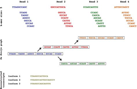 The de Bruijn graph approach is instrumental for reference-free ...