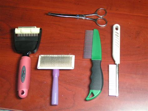 5 Grooming Tools To Keep Your Cat’s Coat Well Groomed - Our Cats' World