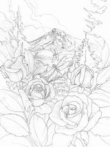 Sketches Of A Old Fashioned Bathtub Sketch Coloring Page sketch template