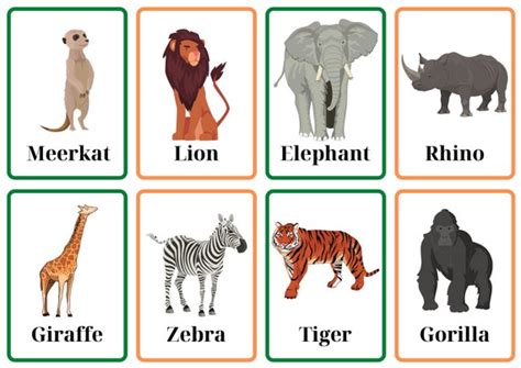 Safari Animal Flashcards - Etsy