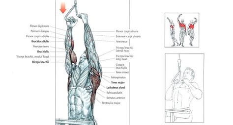 TOP 20 Lat Pulldown Machine Exercises for Best Workout