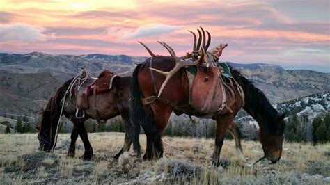 Private Land Elk and Mule Deer Hunts - Top End Adventures