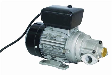 China Electrical Gear-Type Oil Pump - China Oil Pump, Electrical Oil Pump