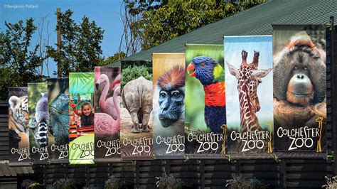 Colchester Zoo on Twitter: "Reopening Day is here! It’s been a long ...