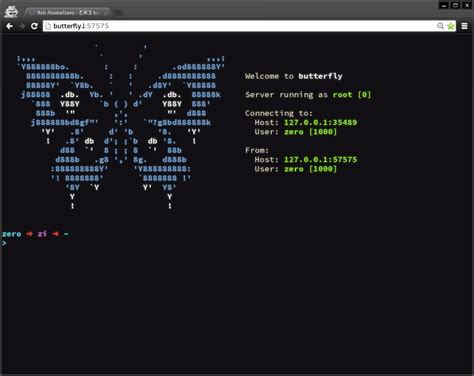 Butterfly utile tool per poter accedere al terminale dal browser anche da remoto e senza alcun ...