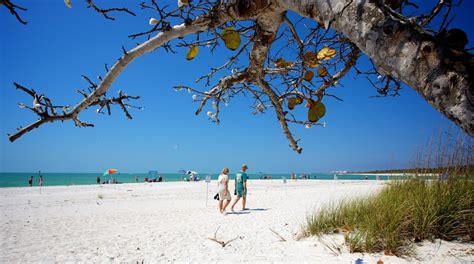 Things to Do in Southwest Florida in 2024 | Expedia