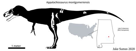 Appalachiosaurus montgomeriensis - Carnivora