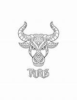 Taurus Coloring Page / Digital Download Printable  Etsy sketch template