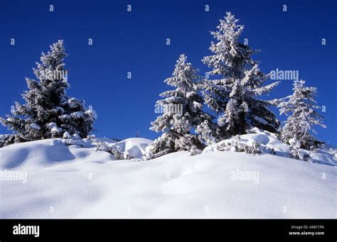 Bavaria : landscape - snow Stock Photo - Alamy