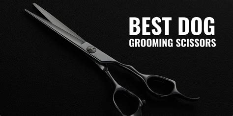 15 Best Dog Grooming Scissors – Shears, Chunkers, Straight-Cutting & Curved