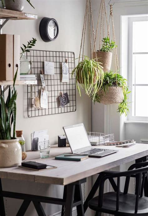 indoor-home-office-plants-decor