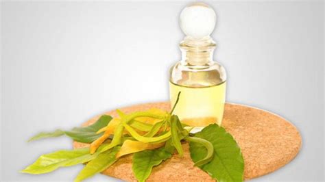 Ylang Ylang Essential Oil - Aphrodisiac & Antiseptic Property